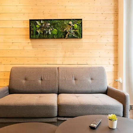 X Center With Sauna Apartment